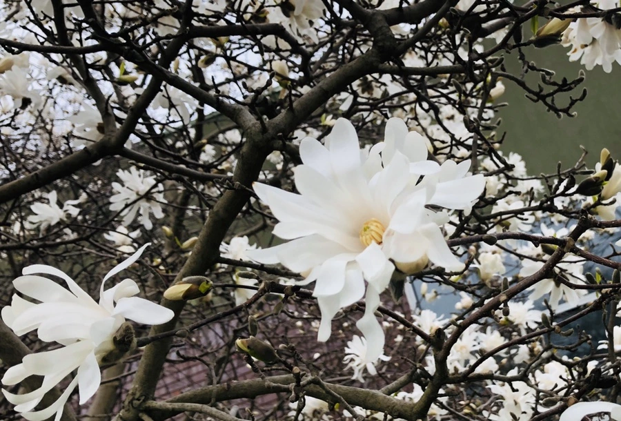 IMG_6707.jpg?type=w966