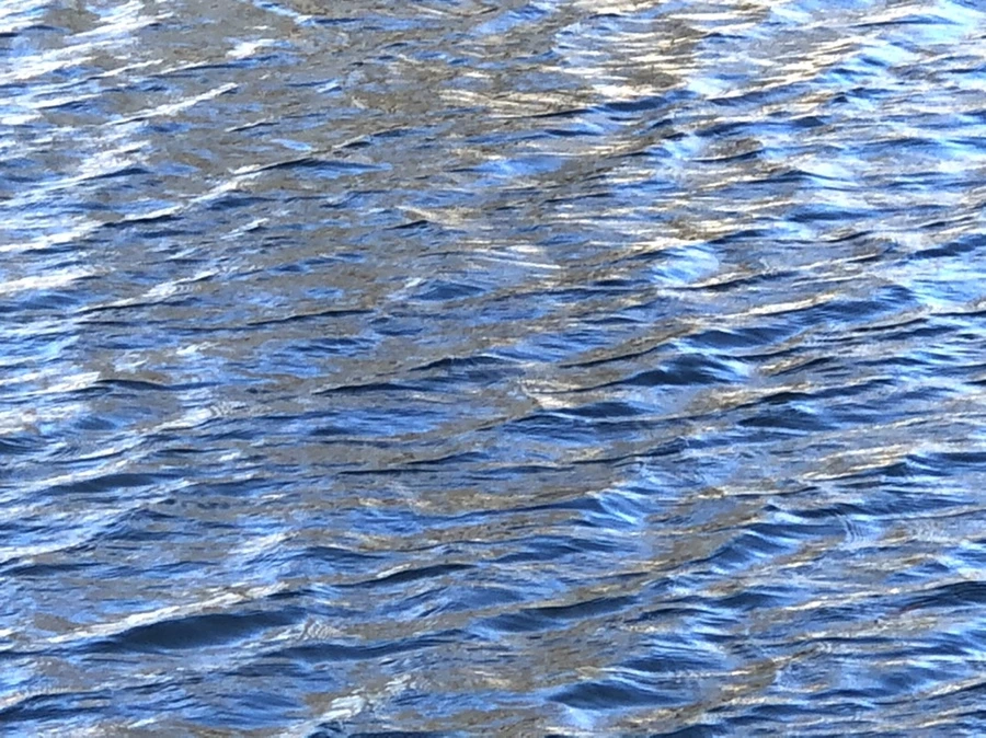 IMG_3855.jpg?type=w966