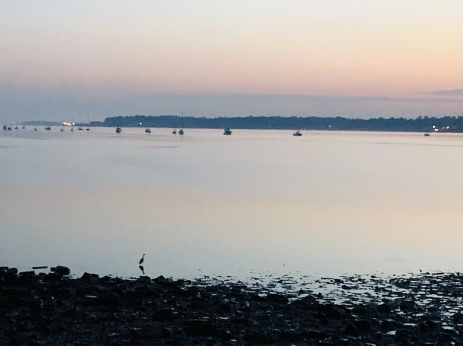 IMG_7019.jpg?type=w966