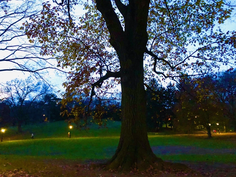 IMG_5406.jpg?type=w966