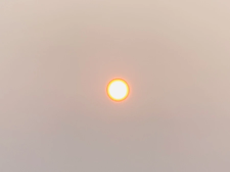 IMG_8390.jpg?type=w966