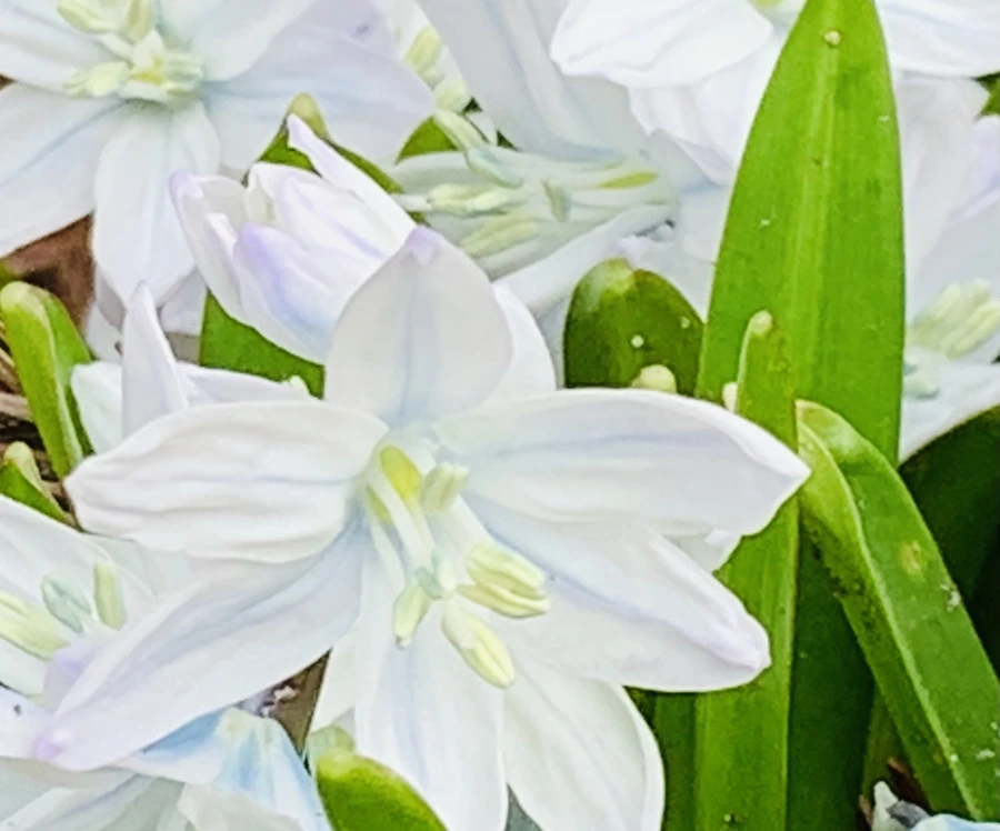 IMG_4109.jpg?type=w966