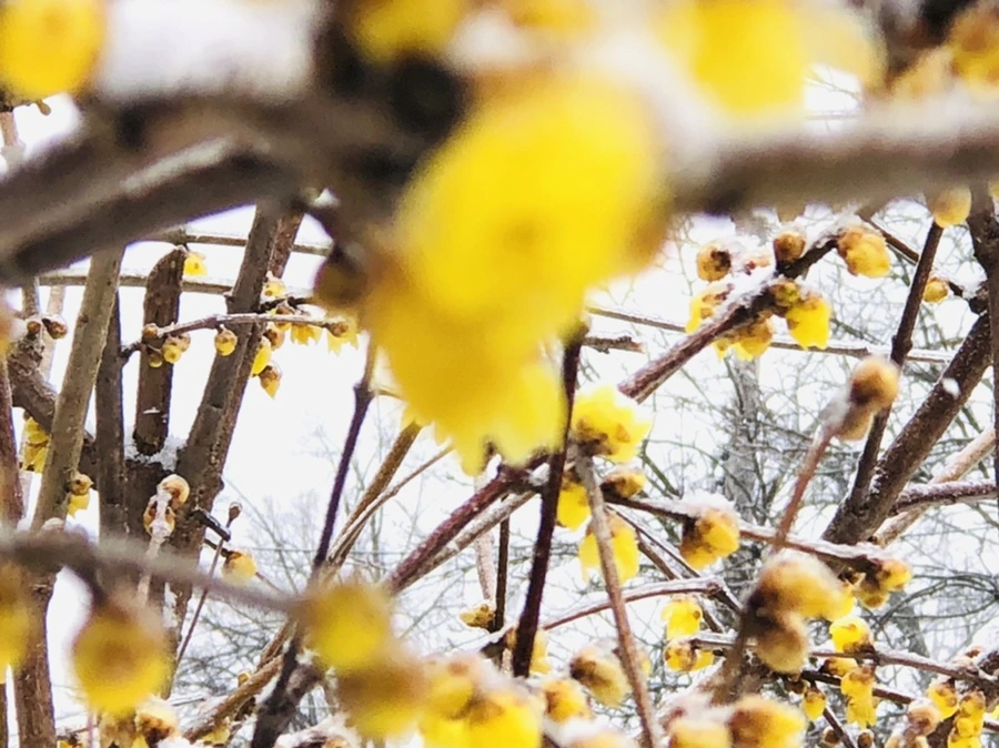 IMG_3530.jpg?type=w966