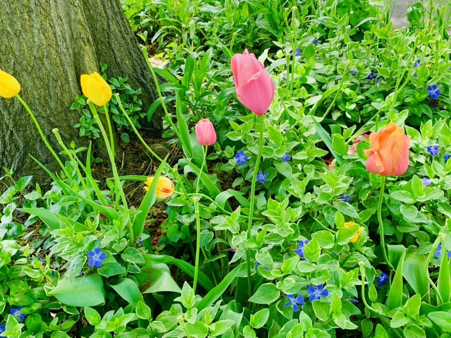 IMG_1390.jpg?type=w966