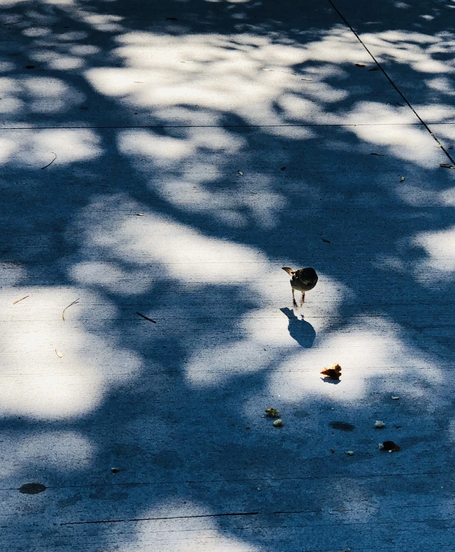 IMG_3493.jpg?type=w966