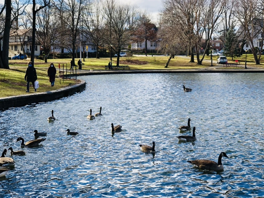 IMG_9215.jpg?type=w966