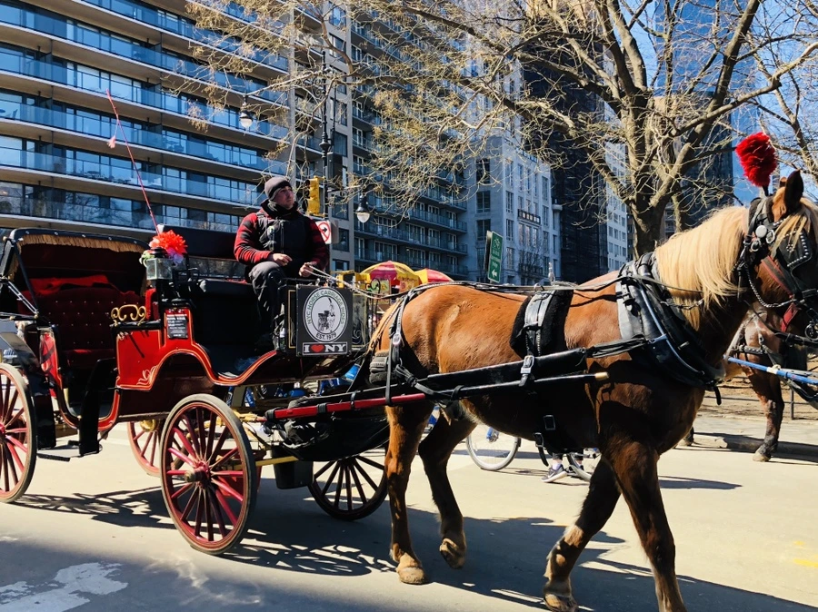 IMG_1187.jpg?type=w966