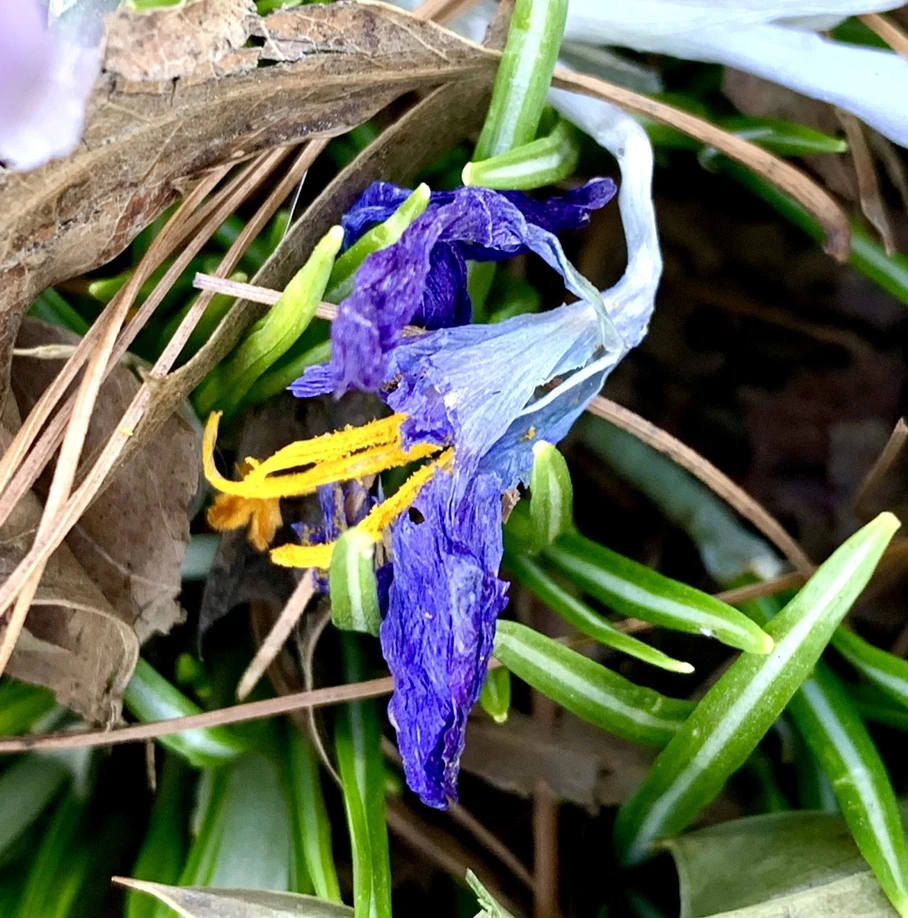 IMG_1453.jpg?type=w966