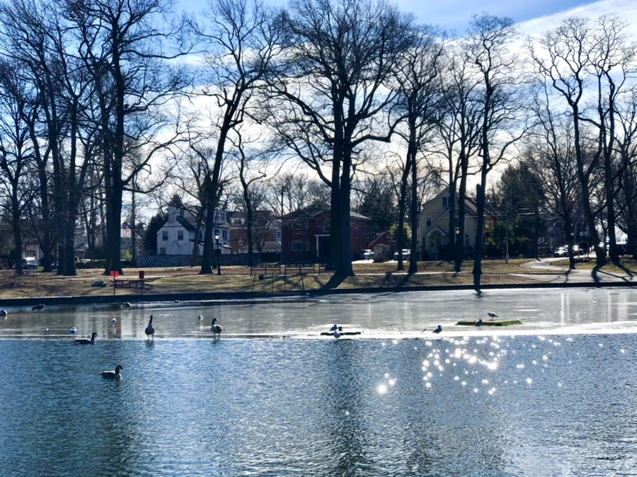 IMG_5325.jpg?type=w966