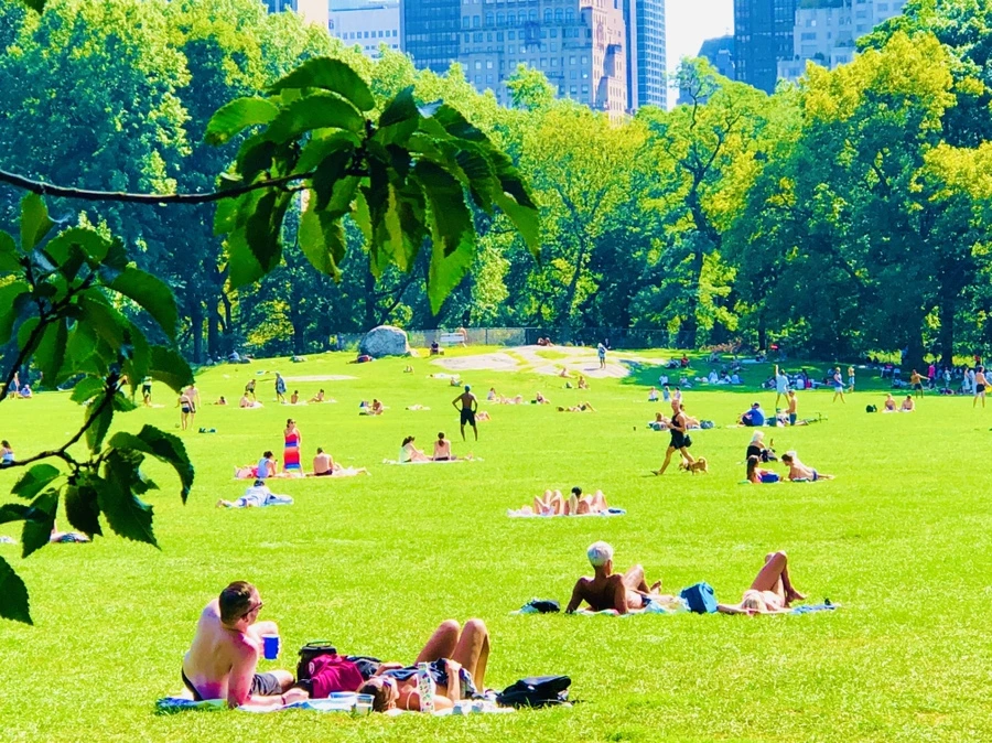 IMG_9388.jpg?type=w966