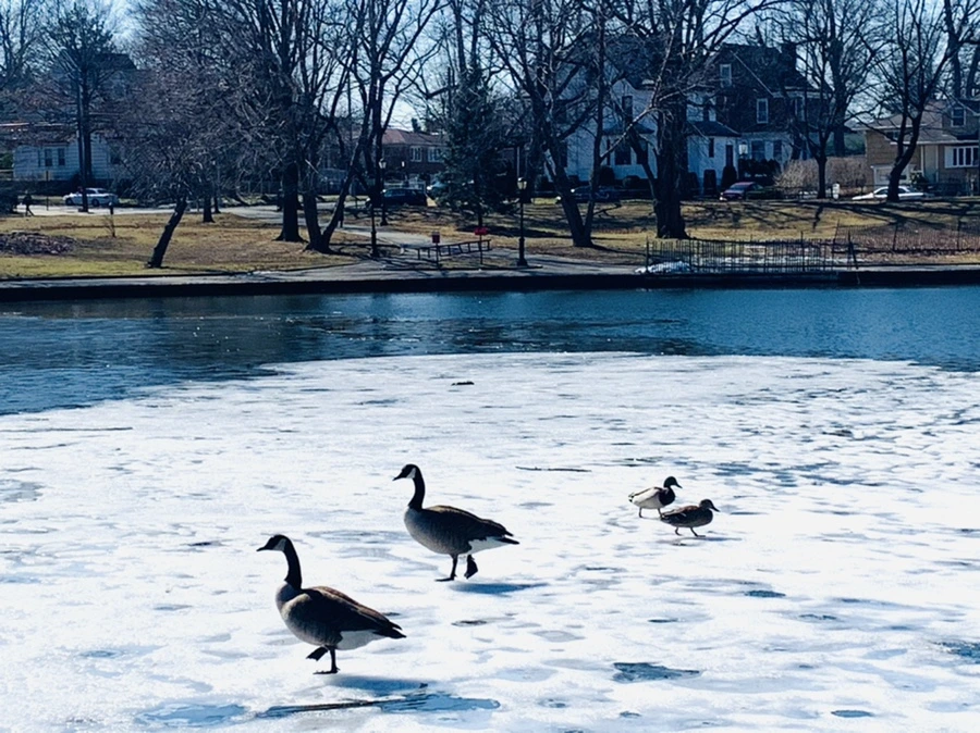 IMG_6893.jpg?type=w966