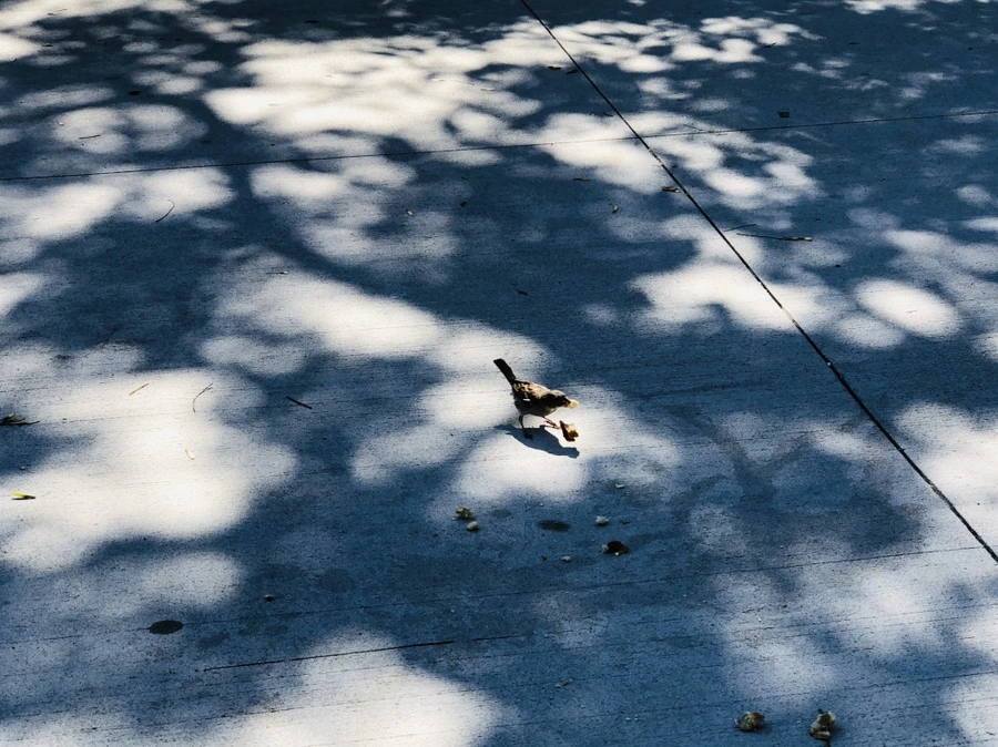 IMG_3494.jpg?type=w966