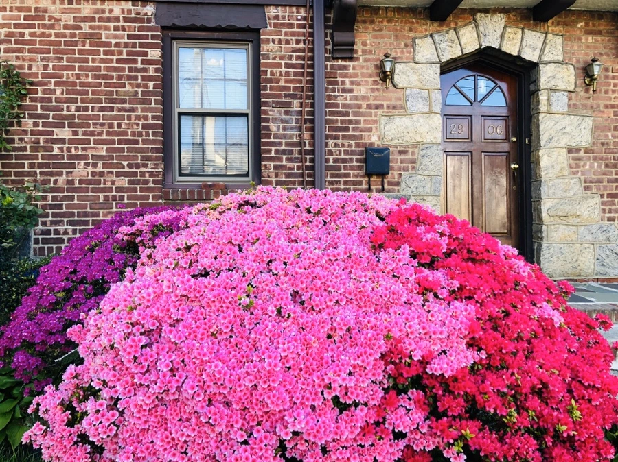 IMG_7297.jpg?type=w966