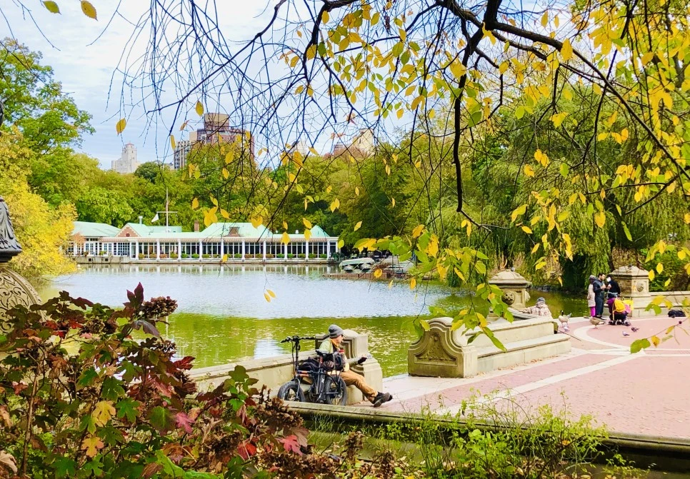 IMG_3037.jpg?type=w966