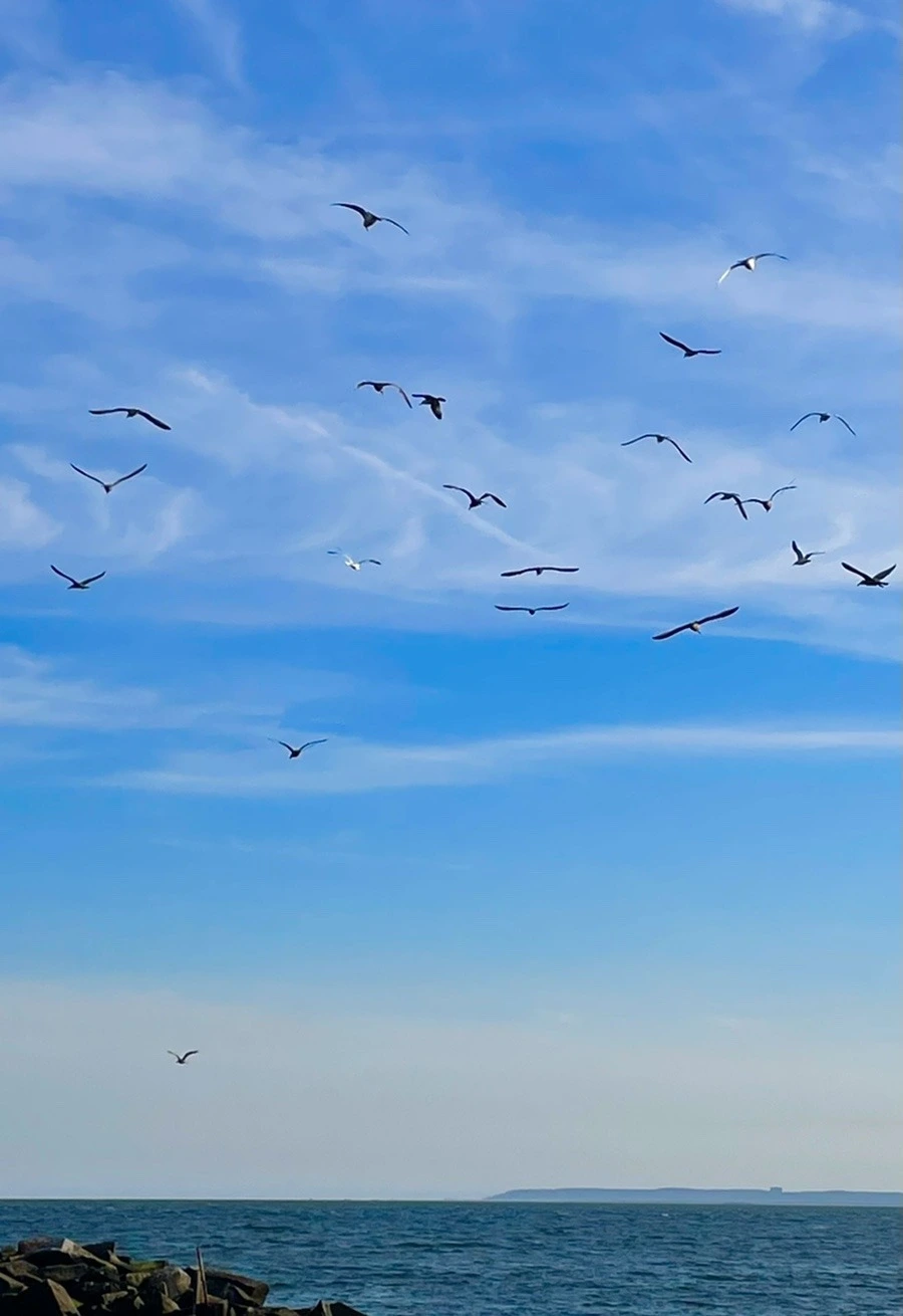 tn-2PO9vCmp45J5BYC5XpnlJmC4