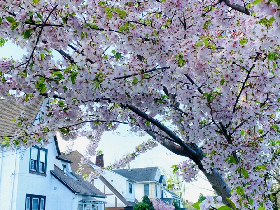 IMG_2642.jpg?type=w966