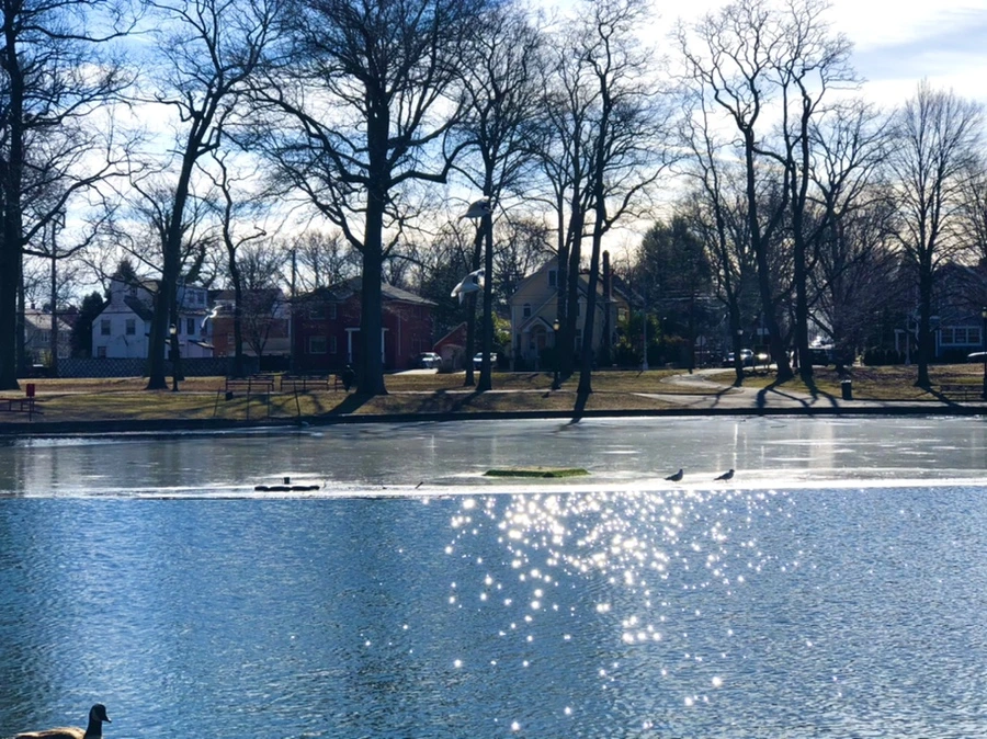 IMG_5376.jpg?type=w966