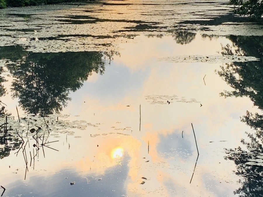 78V8rXLMiu2xJwhWKBJS0eB_Fro