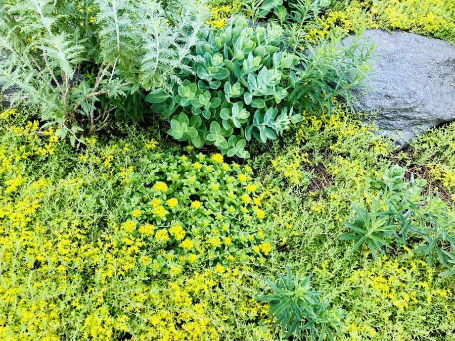 IMG_8384.jpg?type=w966