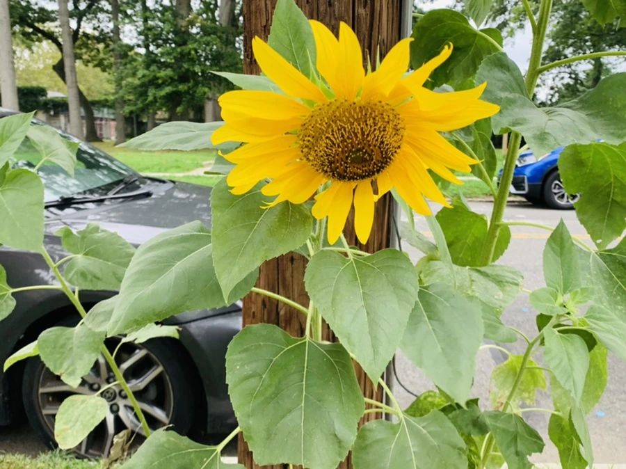 IMG_5883.jpg?type=w966