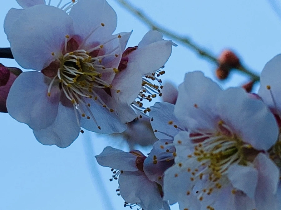 IMG_0942.jpg?type=w966