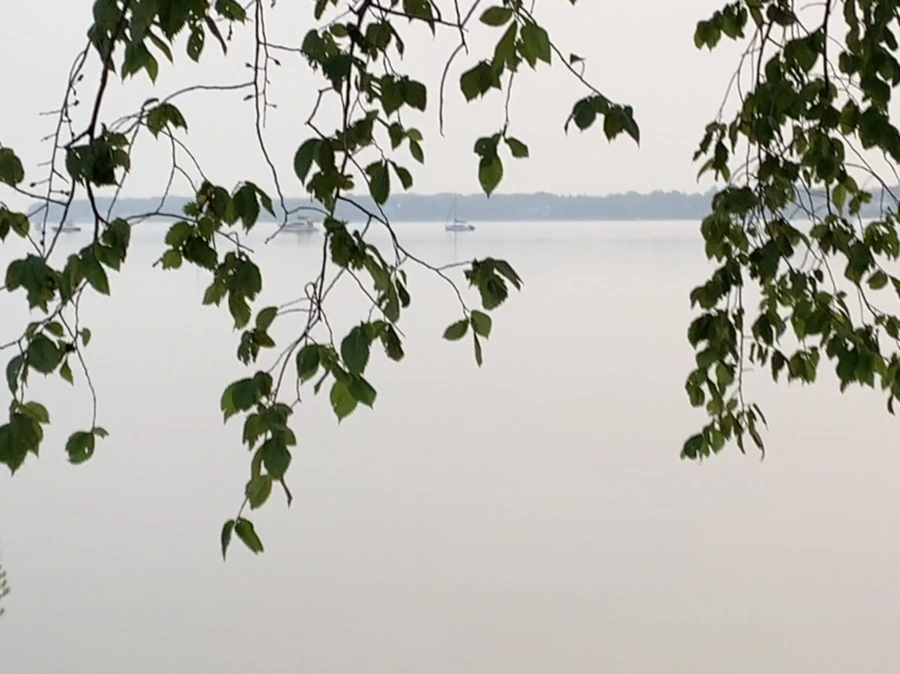 IMG_8199.jpg?type=w966