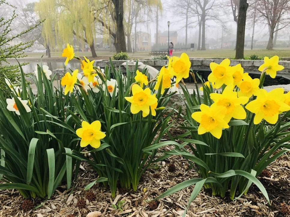 IMG_2921.jpg?type=w966