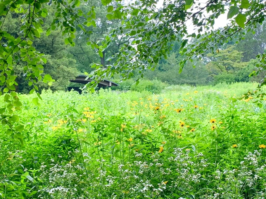 IMG_2667.jpg?type=w966