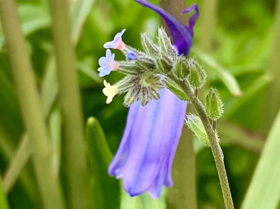 IMG_8653.jpg?type=w966