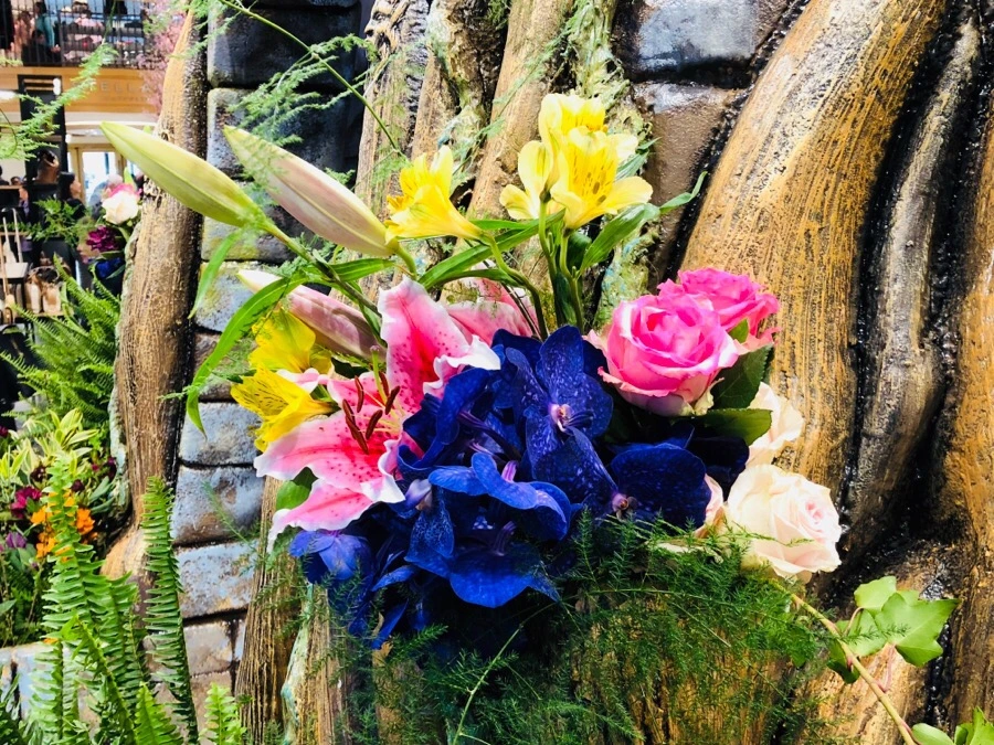 IMG_3714.jpg?type=w966