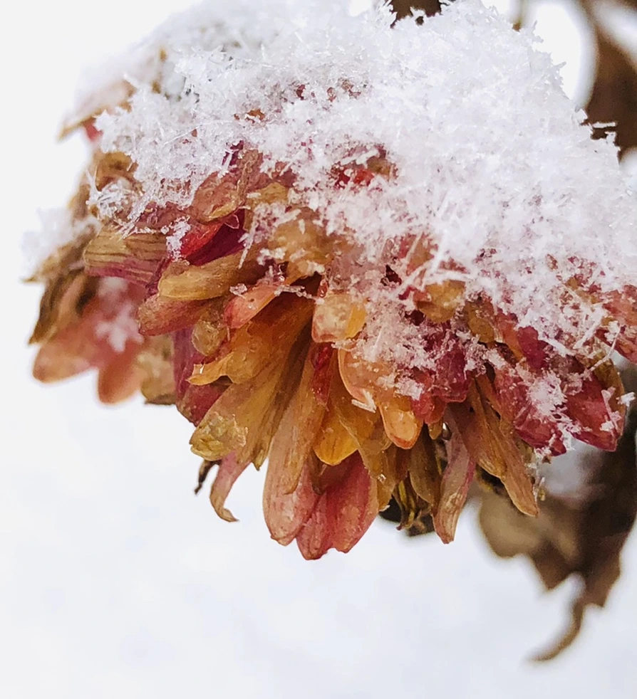 IMG_3440.jpg?type=w966