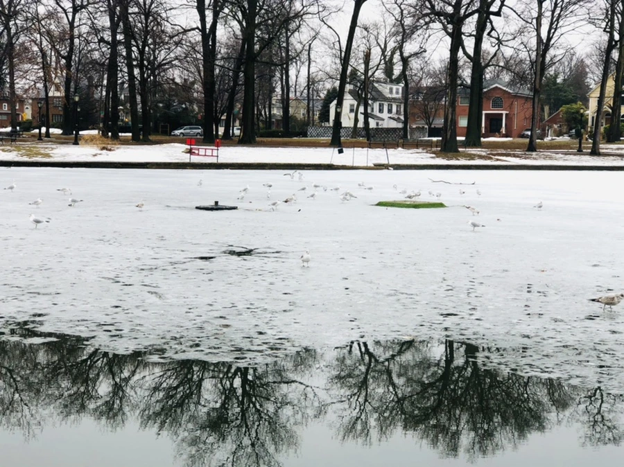 IMG_5520.jpg?type=w966