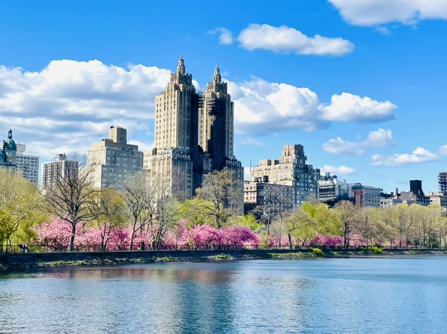 IMG_2758.jpg?type=w966