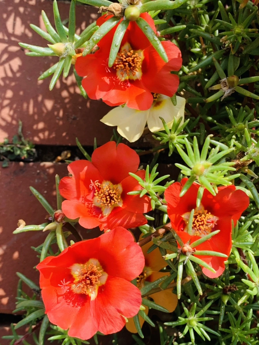 IMG_6673.jpg?type=w966