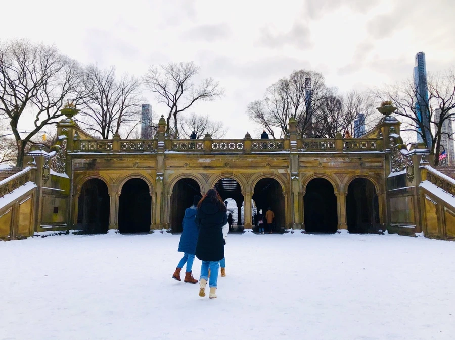 IMG_7352.jpg?type=w966