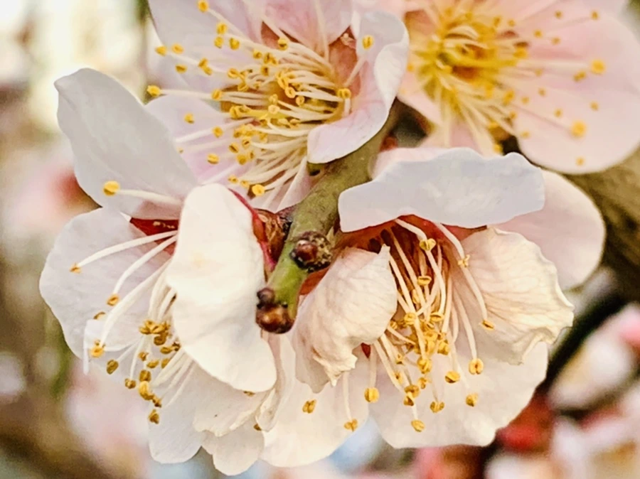 IMG_2797.jpg?type=w966