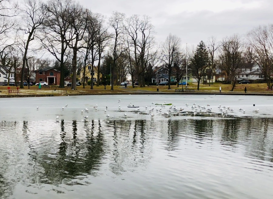 IMG_6414.jpg?type=w966