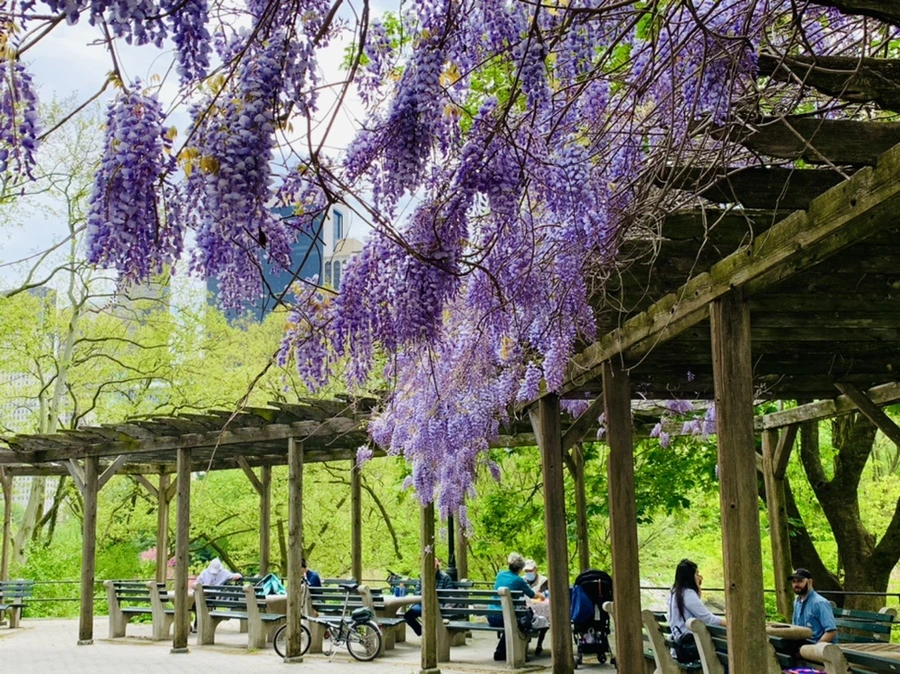 IMG_8768.jpg?type=w966