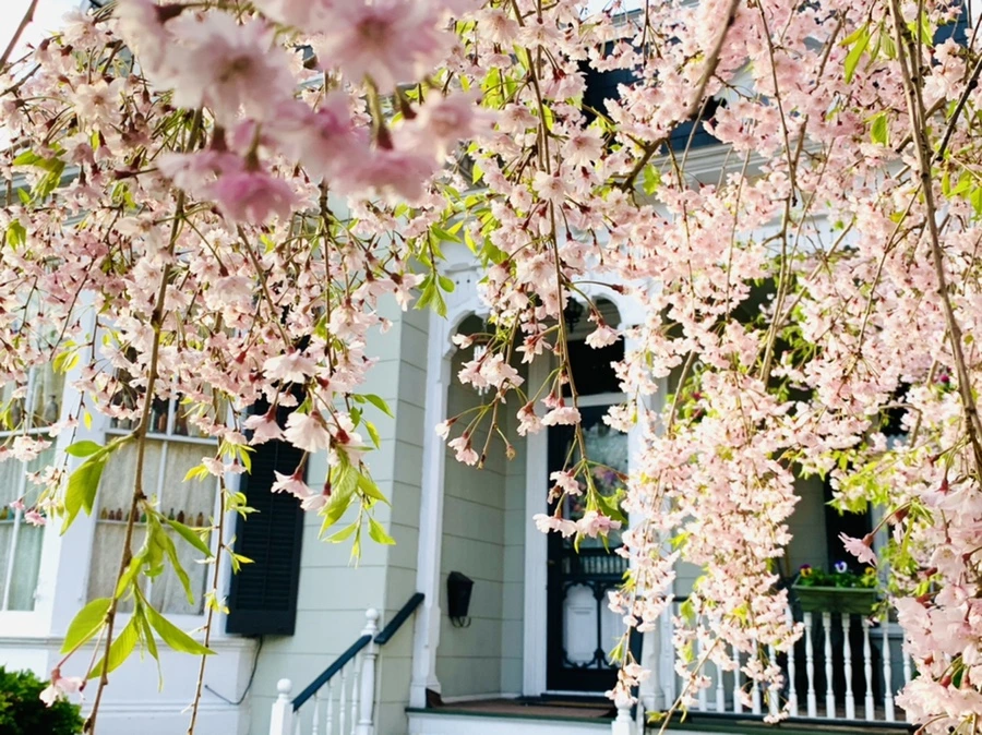 IMG_3753.jpg?type=w966