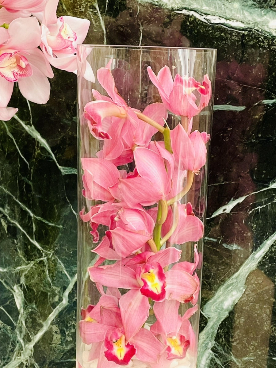 IMG_6356.jpg?type=w966