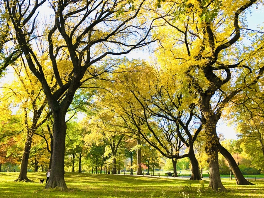 IMG_3488.jpg?type=w966