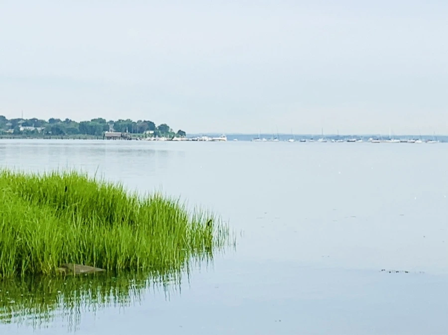 IMG_6469.jpg?type=w966