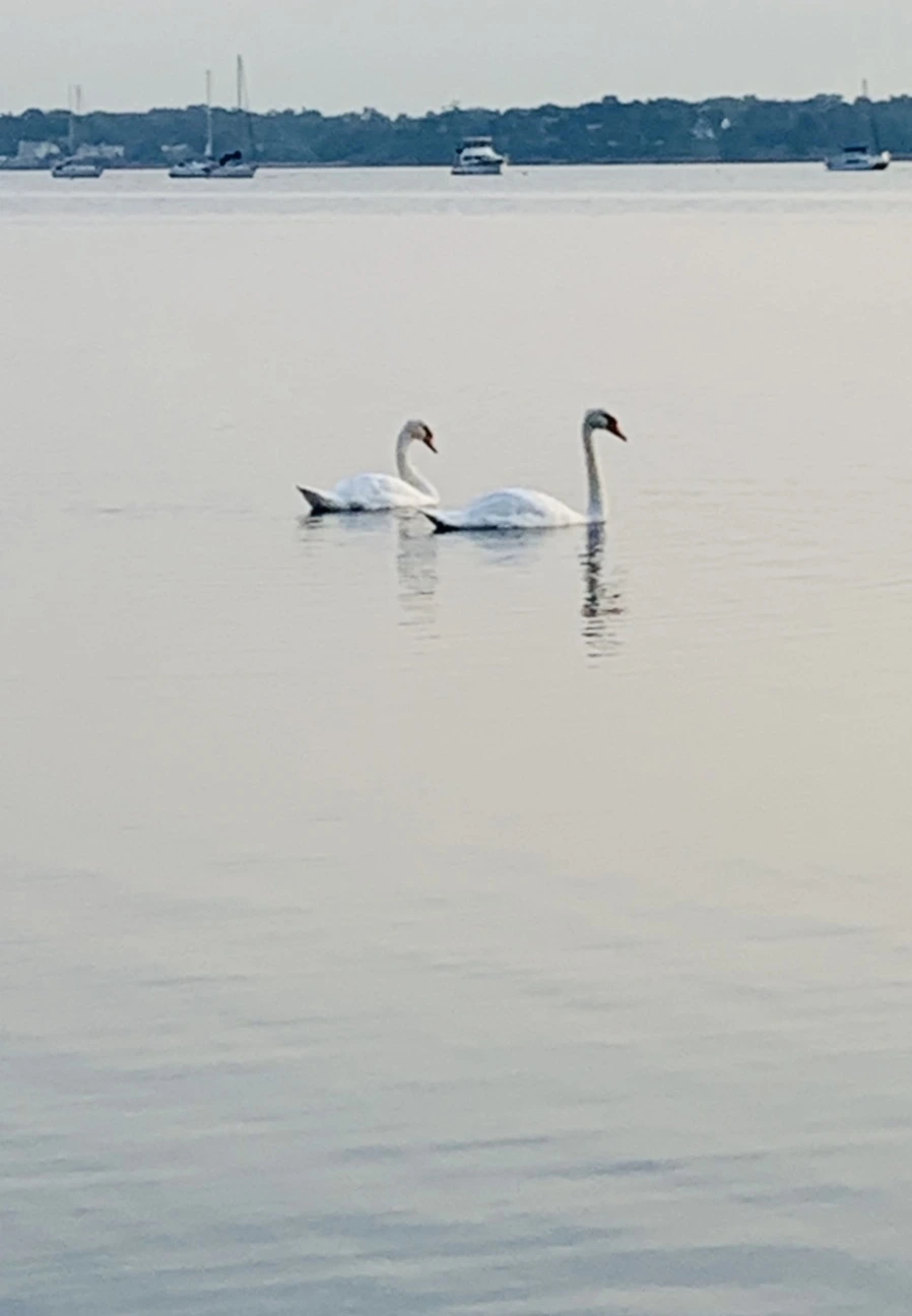 IMG_7827.jpg?type=w966