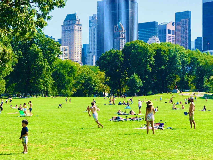 IMG_9392.jpg?type=w966