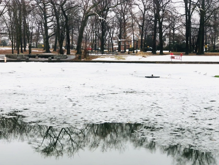 IMG_5483.jpg?type=w966