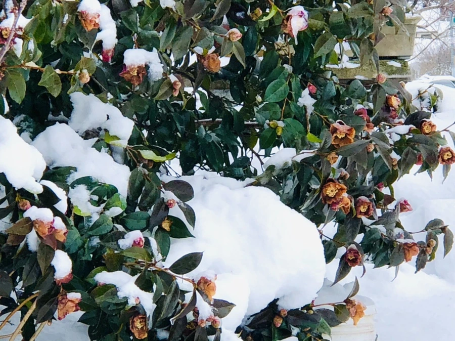 IMG_9073.jpg?type=w966