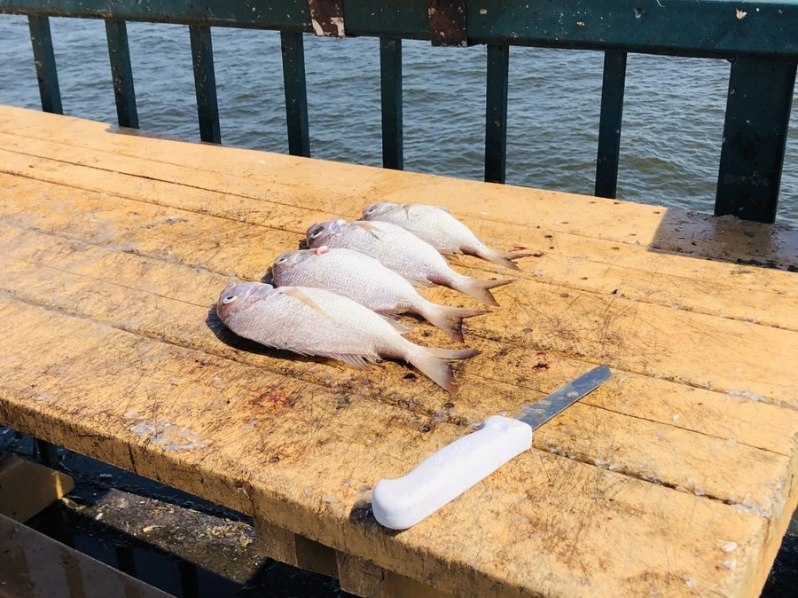 IMG_7756.jpg?type=w966