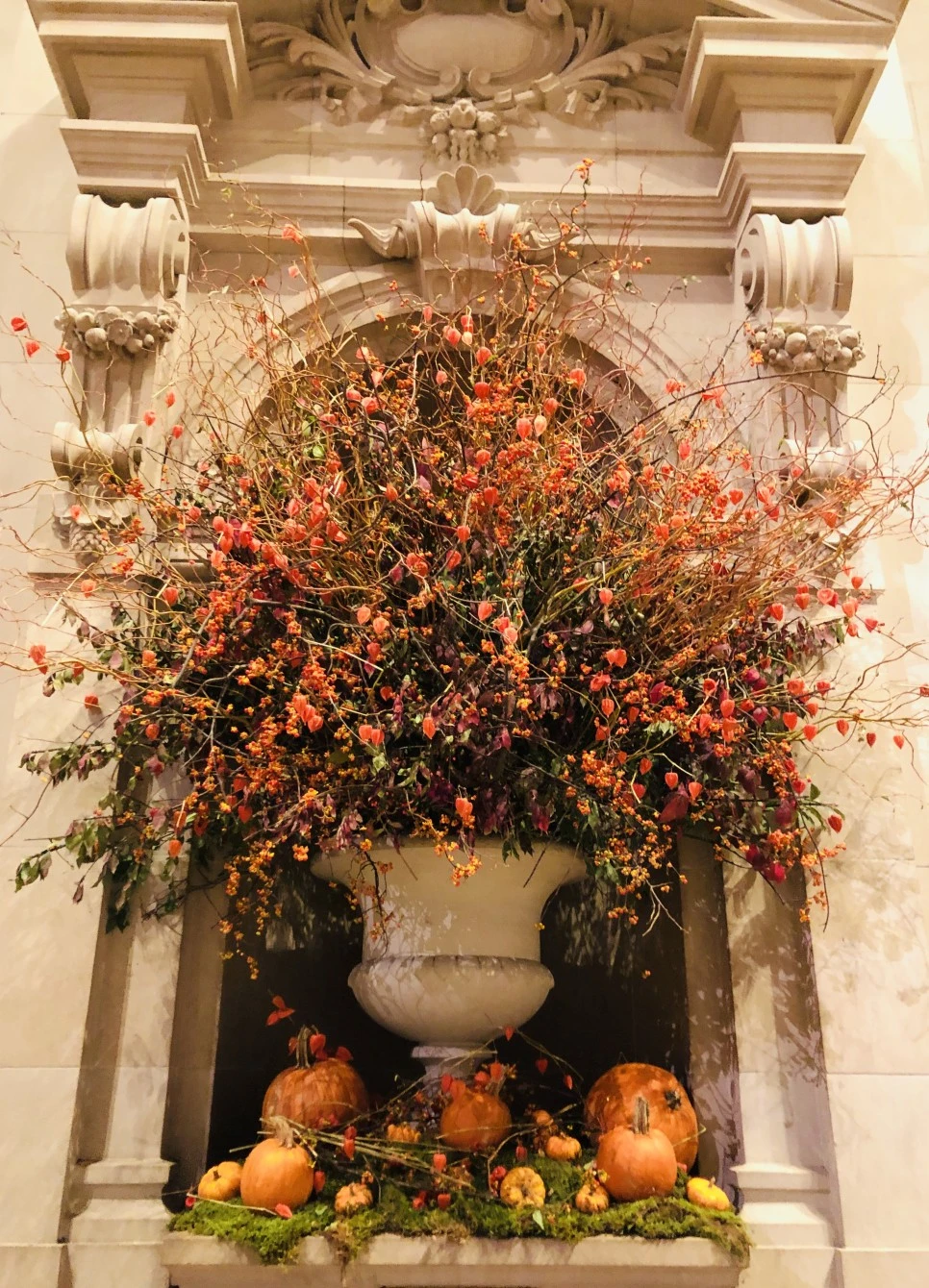 IMG_3163.jpg?type=w966