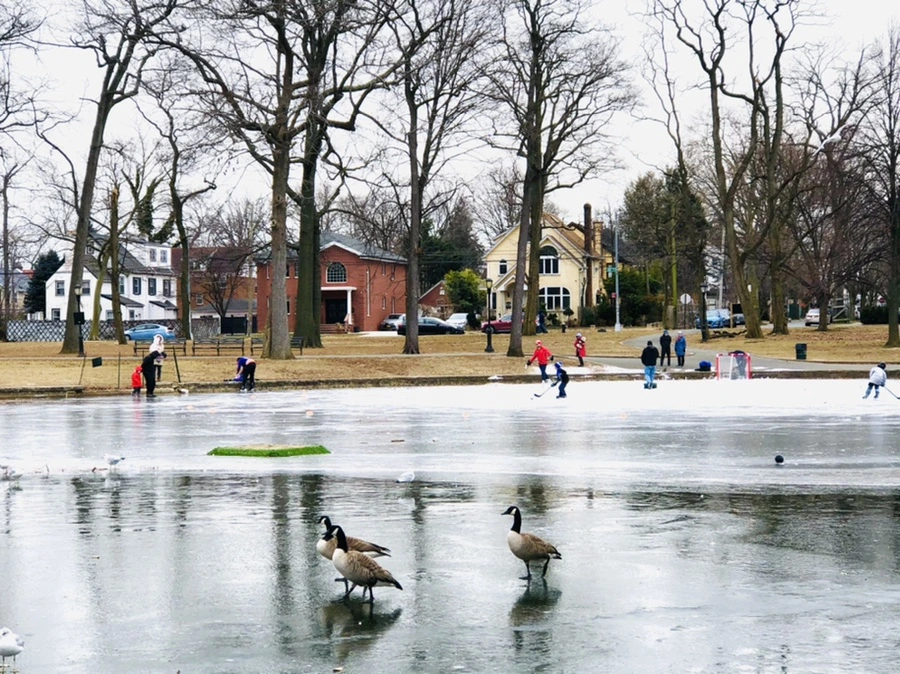 IMG_8326.jpg?type=w966