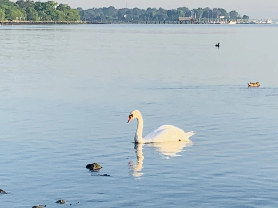 IMG_7392.jpg?type=w966